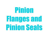 Pinion Flanges & Seals 13-18 Ram 3500 11.8"
